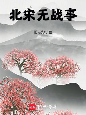 北宋无战事